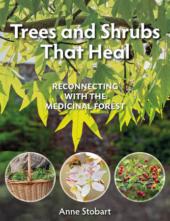 Trees and Shrubs that Heal